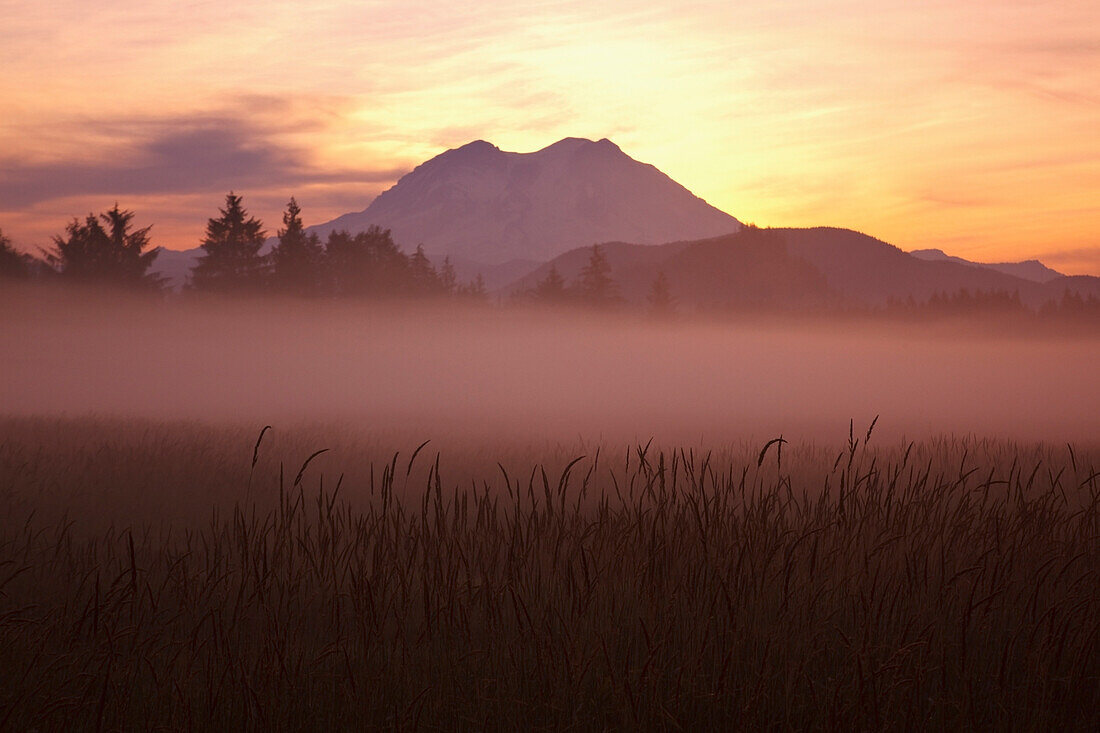 'Washington, United States Of America; Sunrise Over Mount Rainier In Mount Rainier National Park'