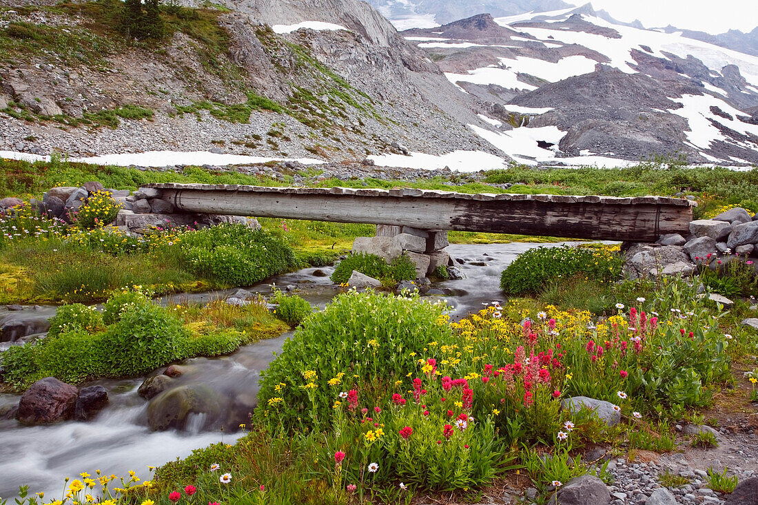 'Washington, United States Of America; Morning Fog And Wildflowers Along A Trail In Mt. Rainier National Park'