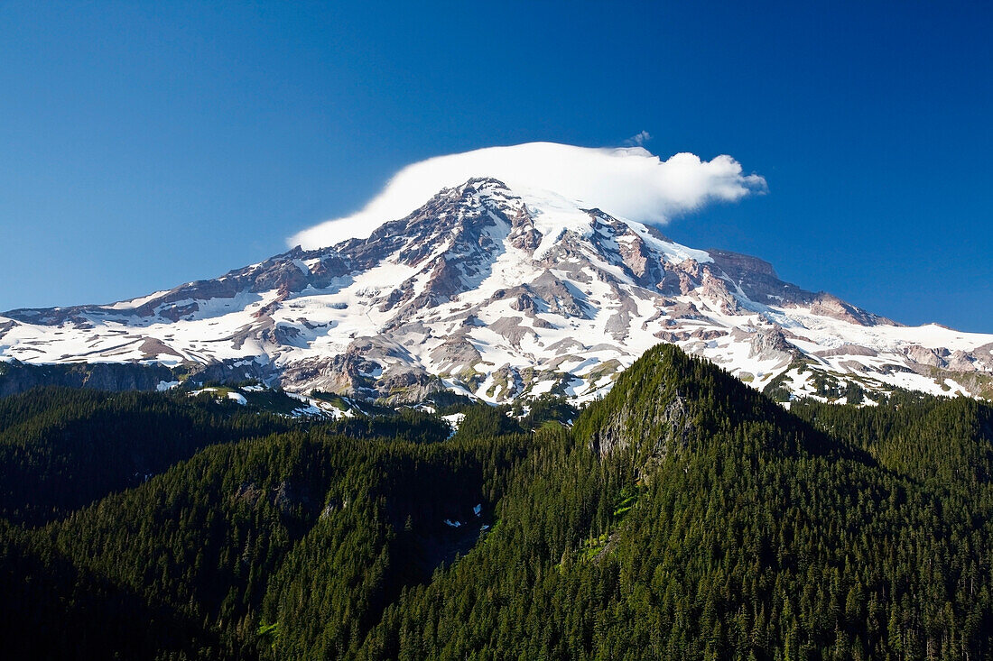'Washington, United States Of America; Mt. Rainier In Mt. Rainier National Park'