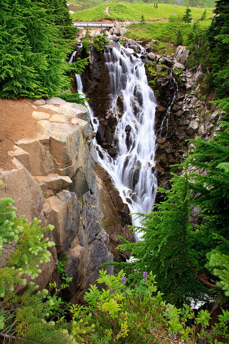 'Washington, United States Of America; Edith Creek Falls In Mt. Rainier National Park'