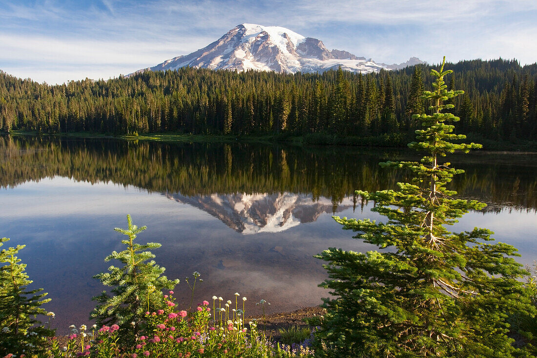 'Washington, United States Of America; A Reflection Of Mount Rainier In A Lake In Paradise Park In Mt. Rainier National Park'