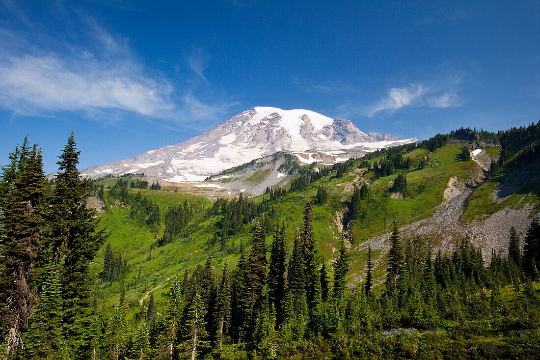 'Washington, United States Of America; Mount Rainier In Paradise Park In Mt. Rainier National Park'