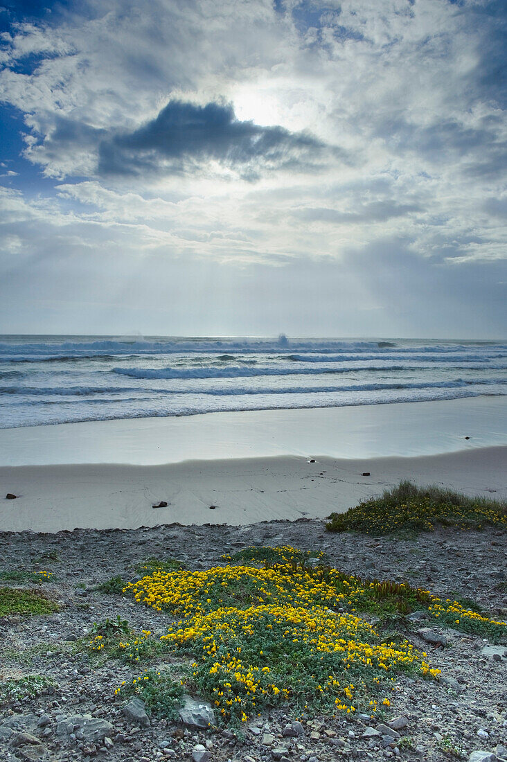 'Los Lances Beach Along Costa De La Luz; Tarifa, Cadiz, Andalusia, Spain'