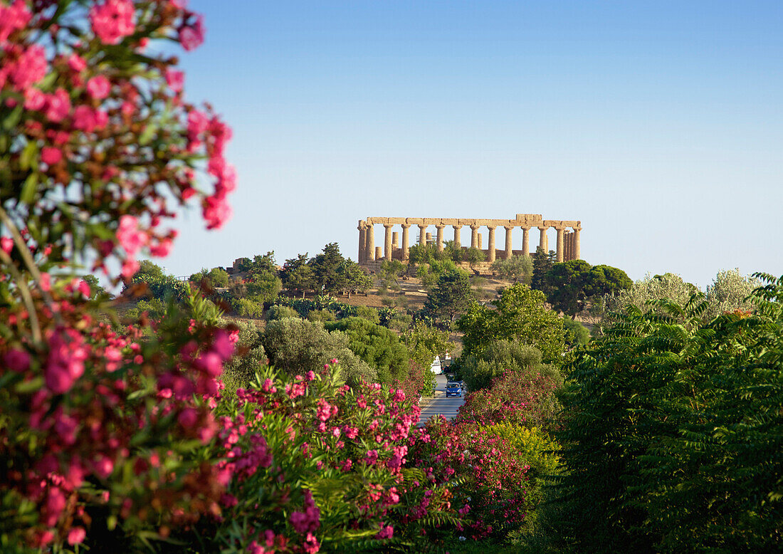 'Outside The Valley Of The Temples; Agrigento, Sicily, Italy'