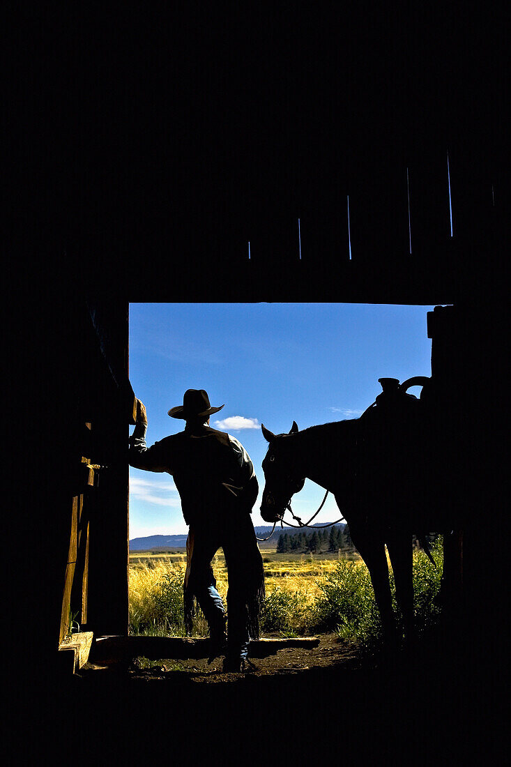 'Silhouette Of A Cowboy Holding His Horse's Reins And Looks Out Of The Barn As He Contemplates The Day; Seneca, Oregon, United States Of America'