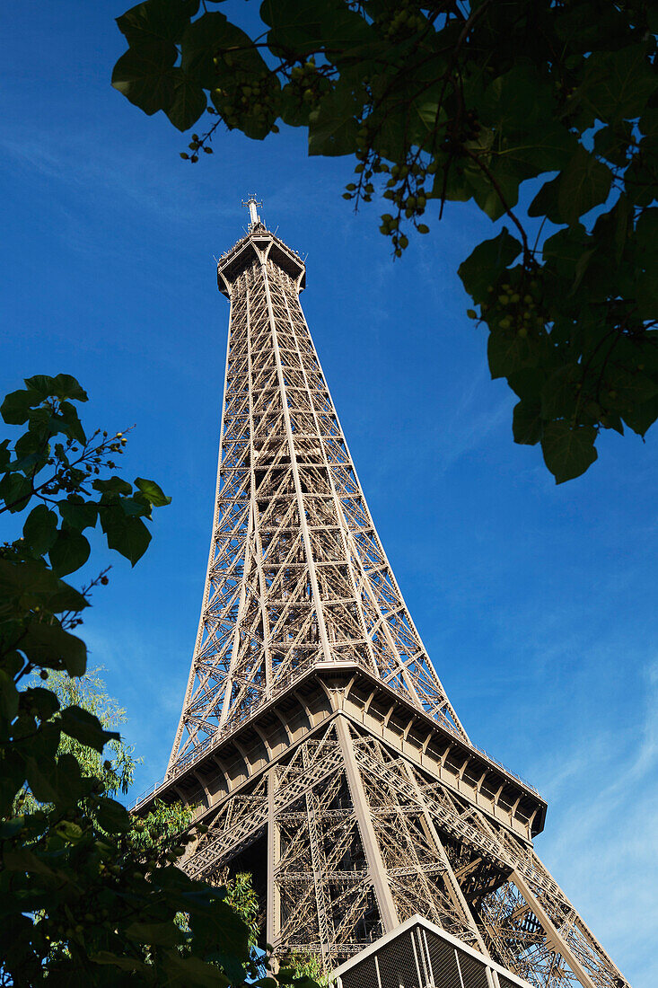 'Low Angle Of The Eiffel Tower Framed By Trees And A Blue Sky; Paris, France'