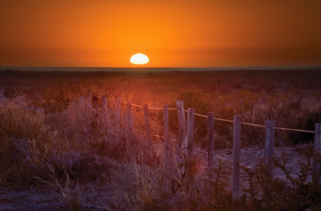 'Sunrise Over The Pampa Of Argentina; San Rafael, Mendoza, Argentina'