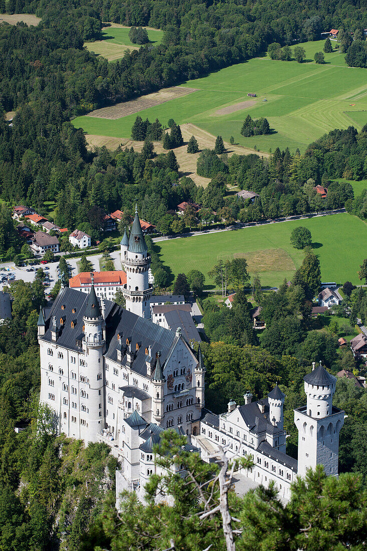 'Bavarian Castle On A Mountain Side With Fields In The Background; Fussen, Germany'