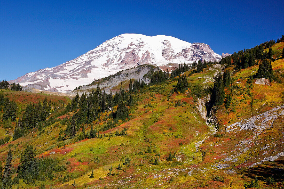 'Autumn Colors In Mt. Rainier National Park; Washington, United States Of America'