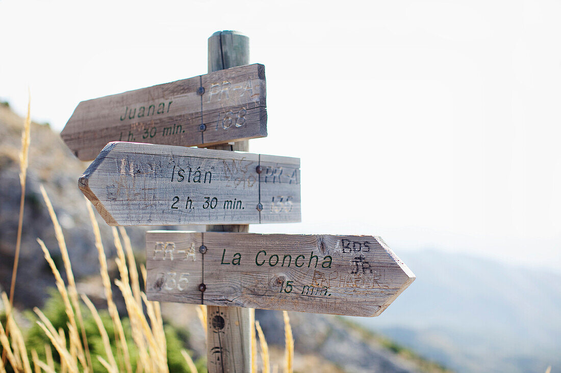 'Wooden Destination And Distance Signs; Marbella, Malaga, Andalusia, Spain'