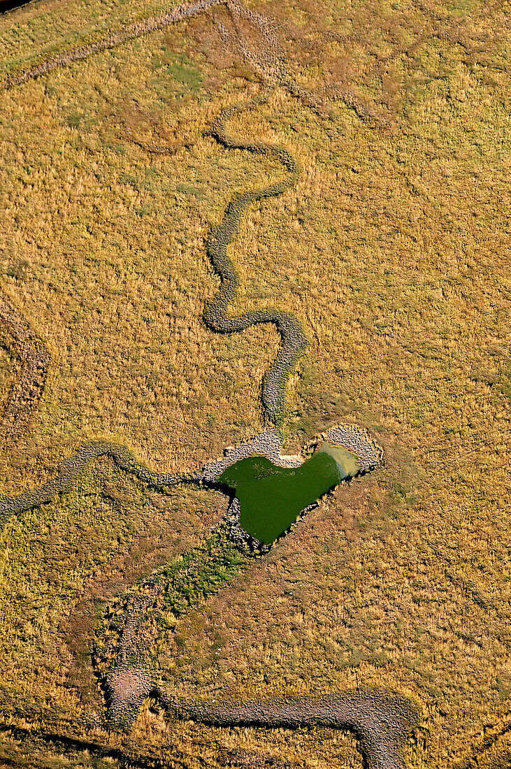 vue aérienne du marais de Marennes. Un ruisseau en forme de serpent. Eau verte