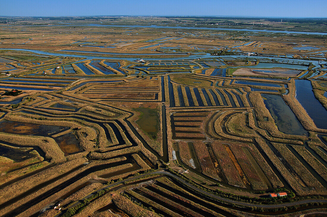 aerial view of the entire marsh. Road and houses in the foreground