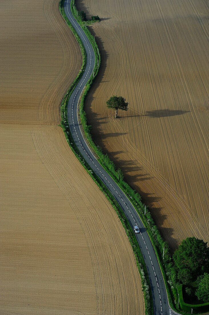 aerial view of a winding road through the plowed fields. Lone Tree and its shadow