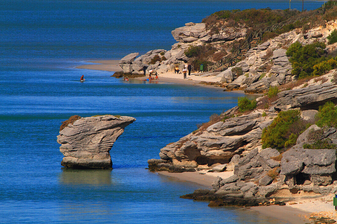 South Africa. Langebaan lagoon.  West coast national park.