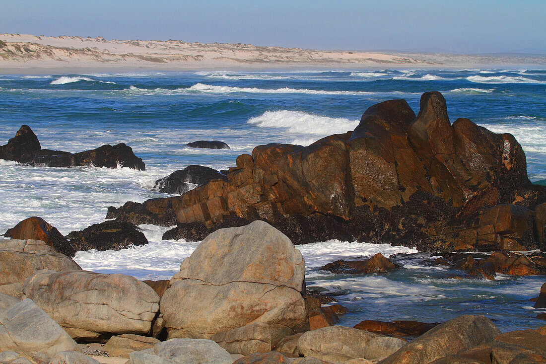 South Africa. Langebaan.  Tsaarsbank. West coast national park.