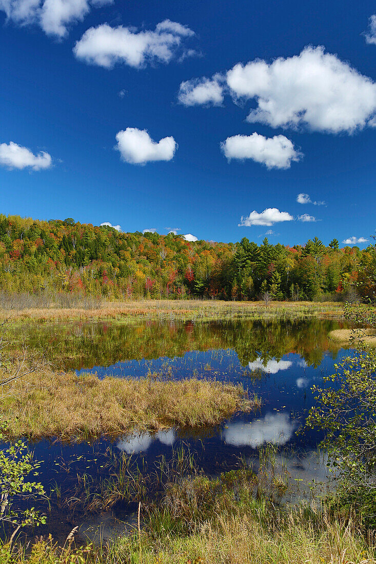 USA Main, Autumn colors