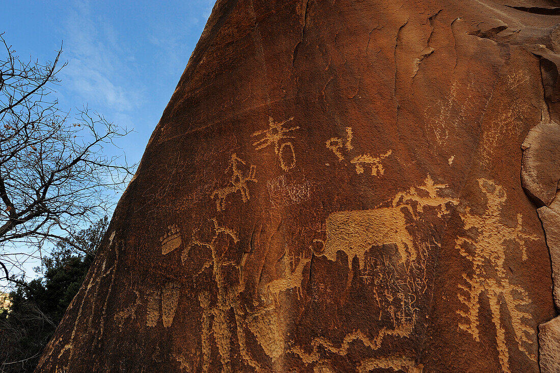 NEWSPAPER ROCK, PETROGLYPH PANEL ETCHED IN SANDSTONE, INDIAN CREEK, UTAH, USA