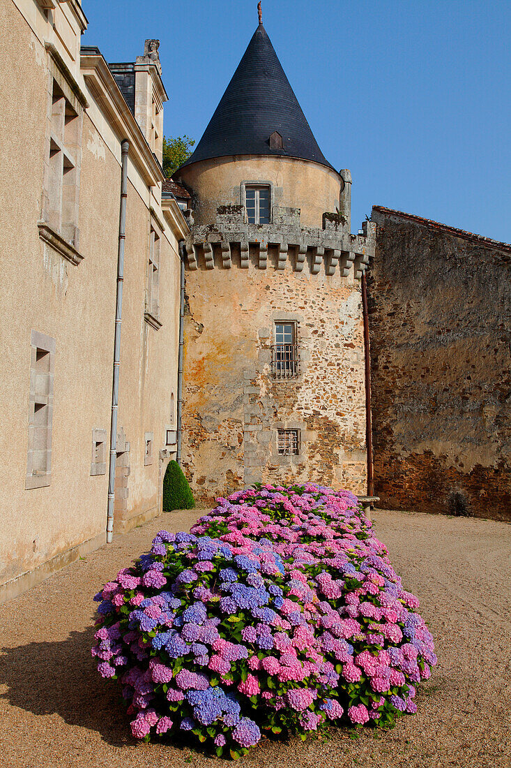 France, Limousin, Haute Vienne (87), Nouic (Bellac area), Fraisse castle