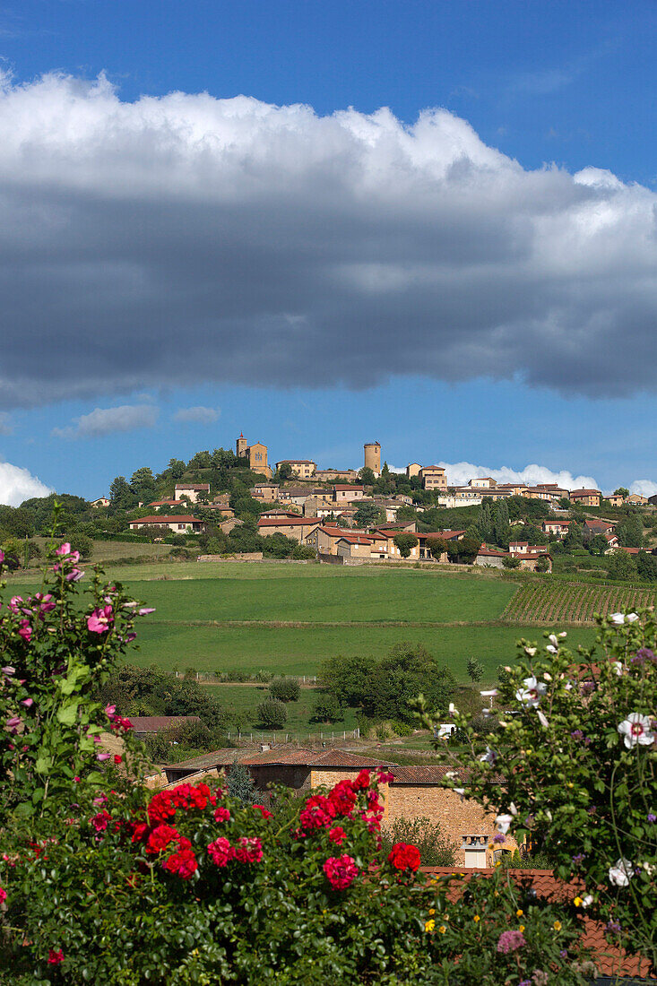 France, Rhône (69), Oingt medieval village labeled Most beautiful villages in France, the land of golden stones