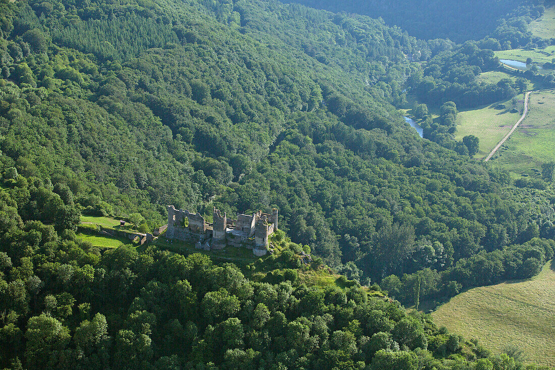 France, Puy-de-Dome (63), Gorges Sioul, Castle Rock, Castle Blot-the-Rock (aerial view)