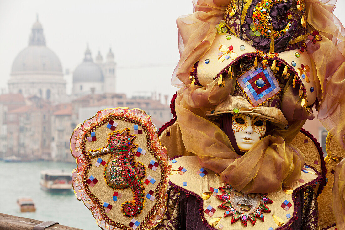 'Person in Venetian costume during Venice carnival; Venice, Italy'