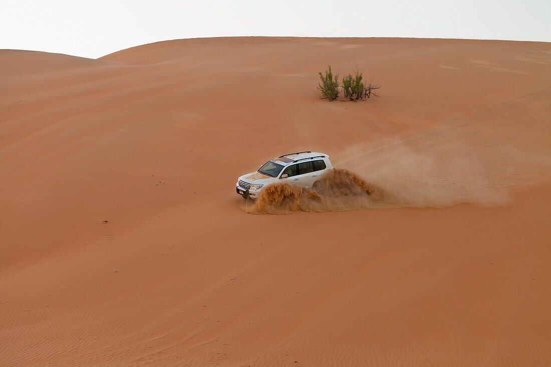 'Four wheel driving in the desert; Liwa Oasis, Abu Dhabi, United Arab Emirates '
