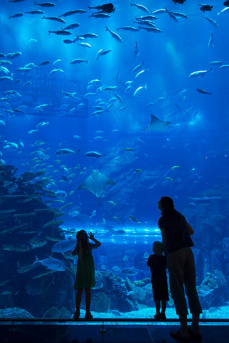 'Mother with boy and girl looking into the massive aquarium in the Dubai Mall; Dubai, United Arab Emirates'