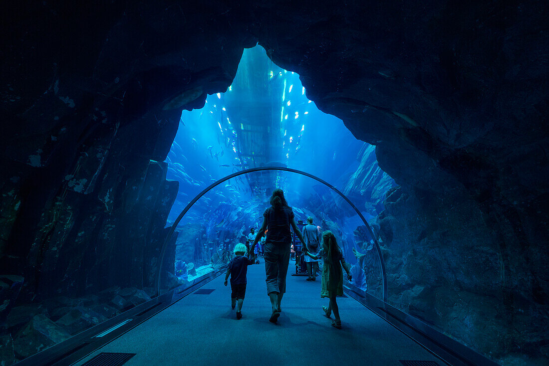 'Mother with boy and girl walking through tunnel in the massive aquarium in the Dubai Mall; Dubai, United Arab Emirates'