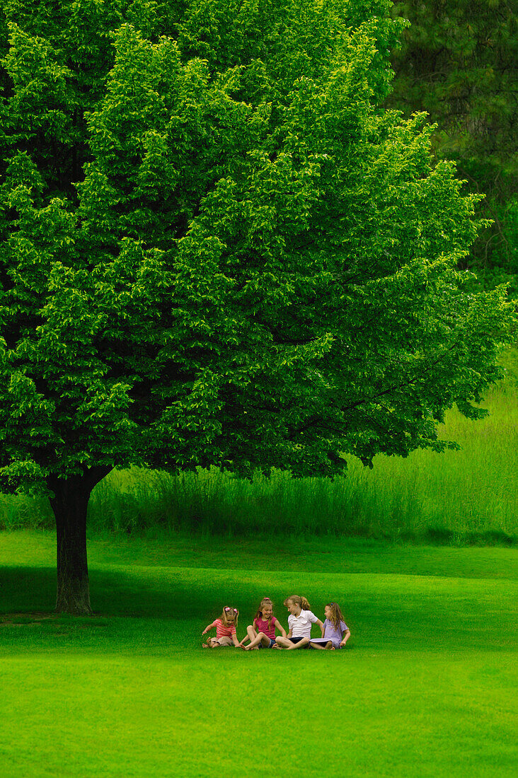 Four Young Friends Under A Tree
