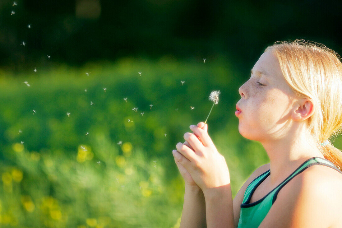 A Young Girl Blowing Dandelion Seeds In The Breeze