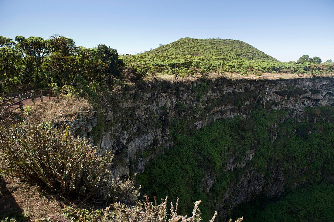 'Pit Craters At Los Gemelos; Santa Cruz Island, Galapagos, Equador'