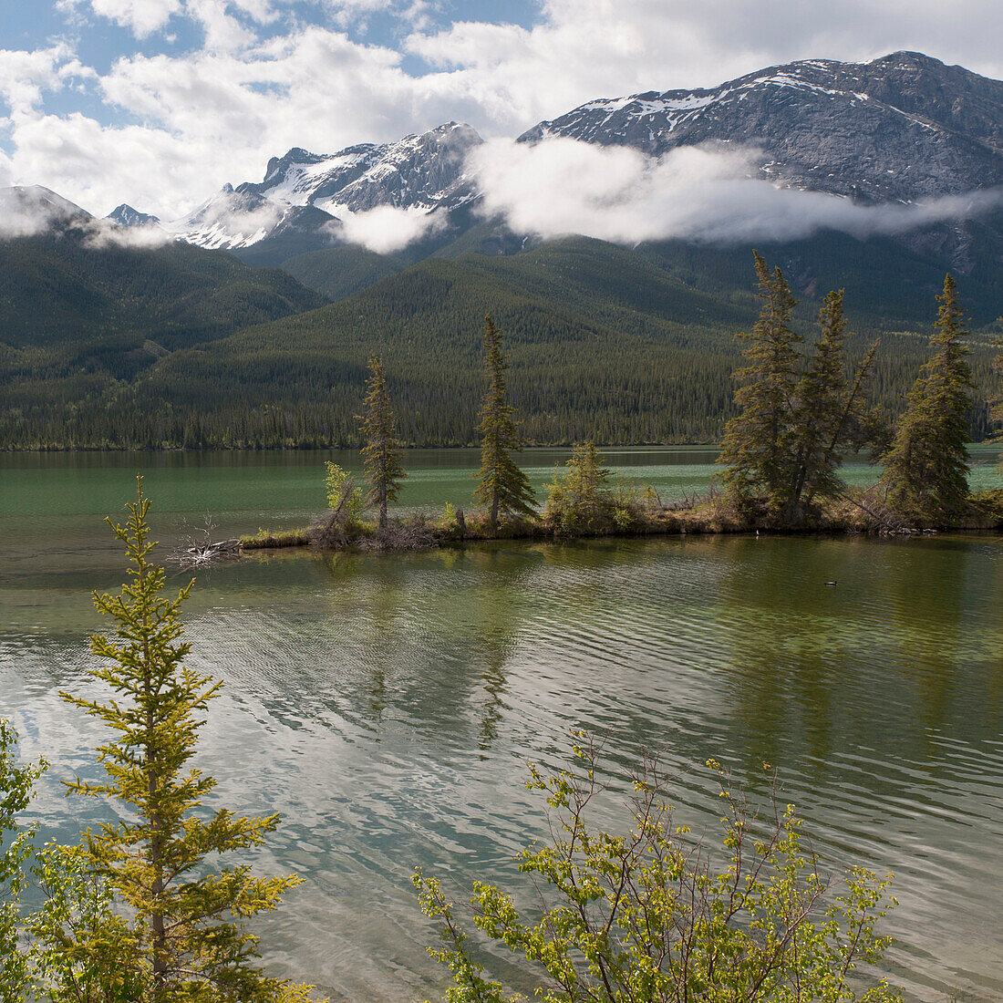 'A Lake And The Rocky Mountains; Jasper, Alberta, Canada'