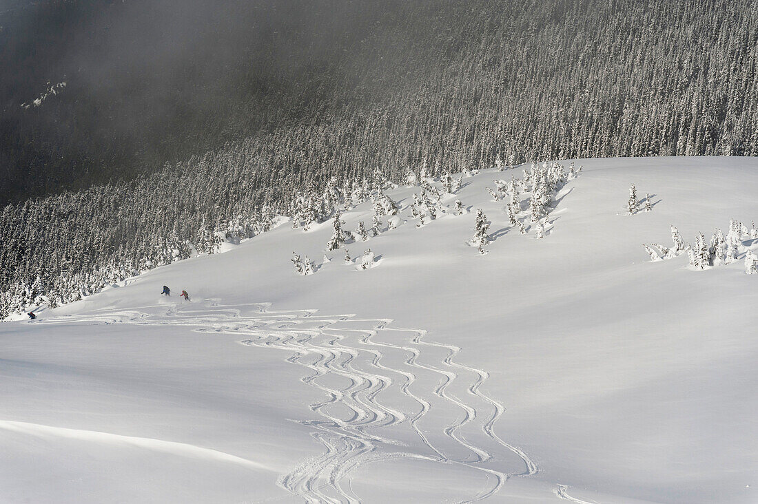 'Skiers At The Base Of A Mountain; Whistler, British Columbia, Canada'