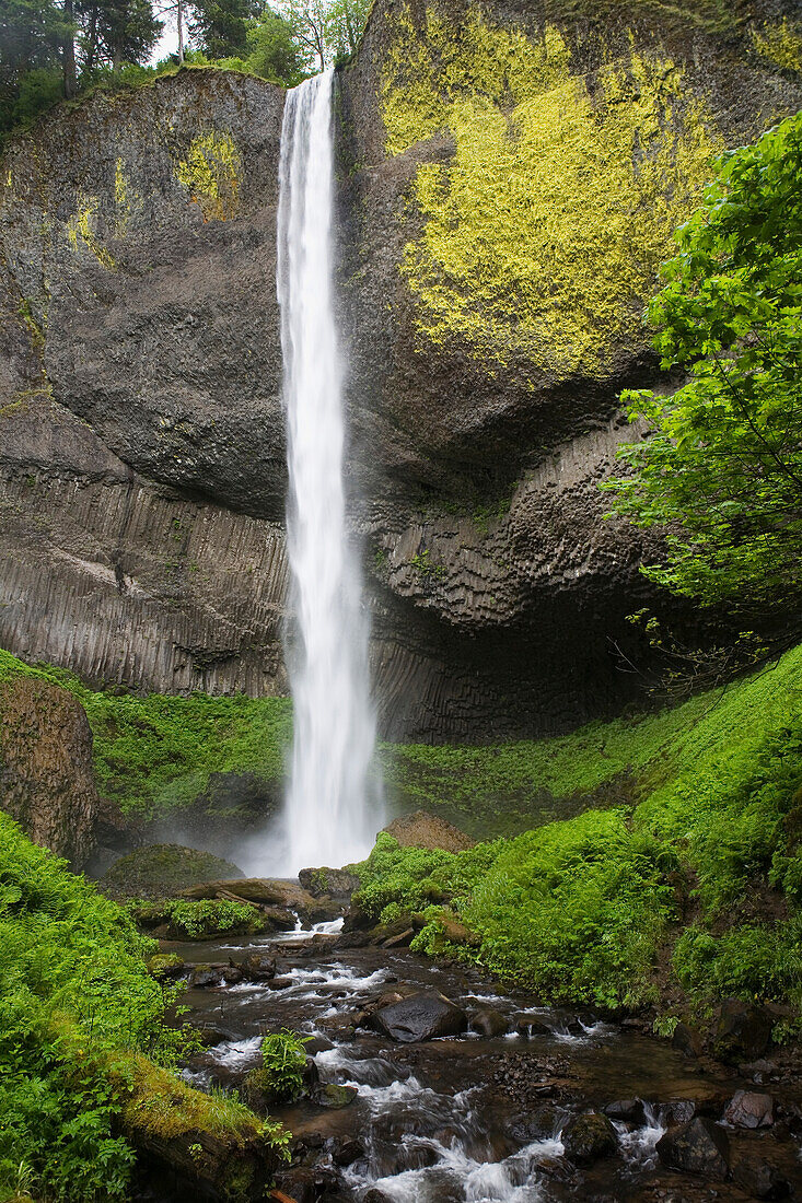 'Narrow Waterfall With Moss Covered Cliffs; Oregon, United States of America'