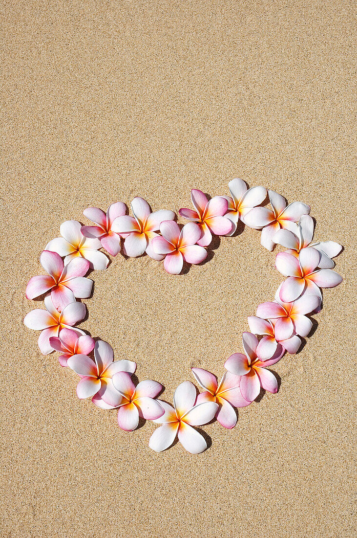 Pink And White Plumeria Blossoms Arranged In Heart On Sand.