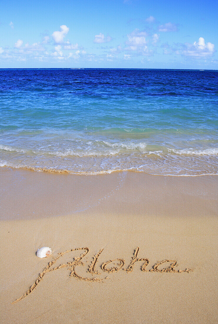Hawaii, Turquoise Ocean Waters, Foaming Shore Water, Seashell, Aloha Written In Sand