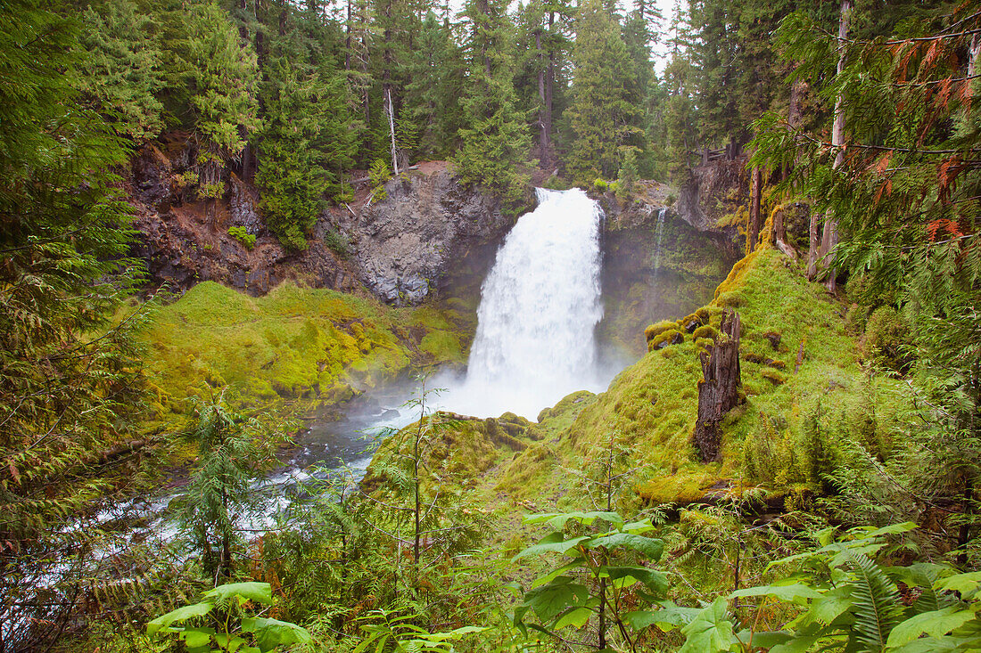 'Sahalie Falls And Mckenzie River In Willamette National Forest; Oregon, United States of America'