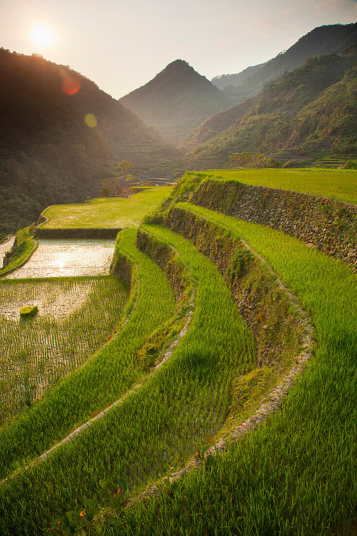 'Rice Terraces; Bangaan, Northern Luzon, Philippines'