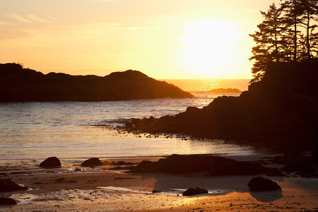 'Ucluth Beach At Wya Point At Sunset Near Ucluelet On Vancouver Island; British Columbia, Canada'