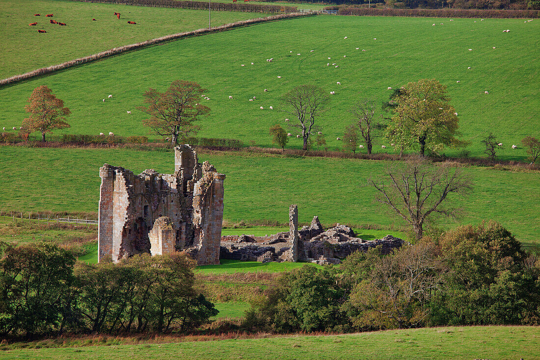 'Edingham Castle; Dumfries And Galloway, Scotland'