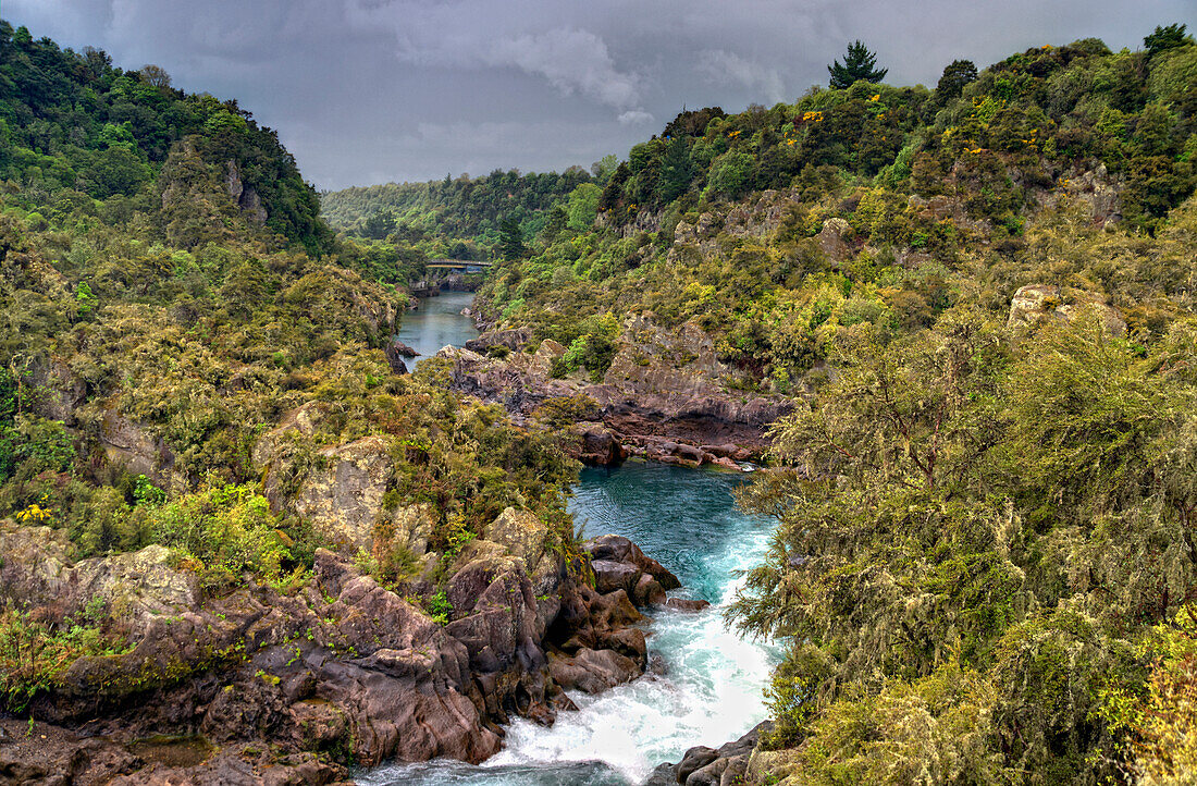 'Waikato River Running Through The Tree Covered Landscape; Taupo, New Zealand'