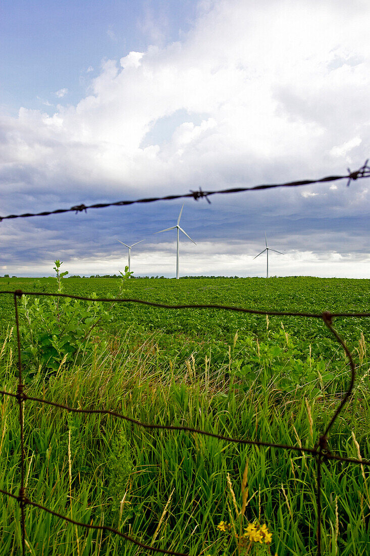 Three Wind Turbines In Field Behind Wire Fence, Tiverton, Bruce Peninsula, Ontario