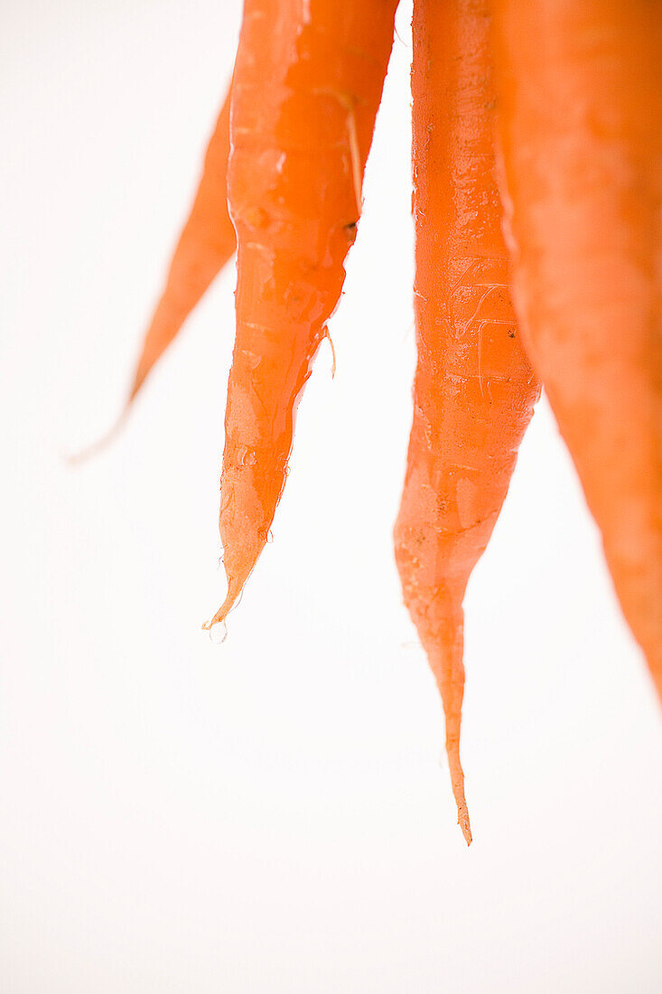 Bottoms Of Carrots