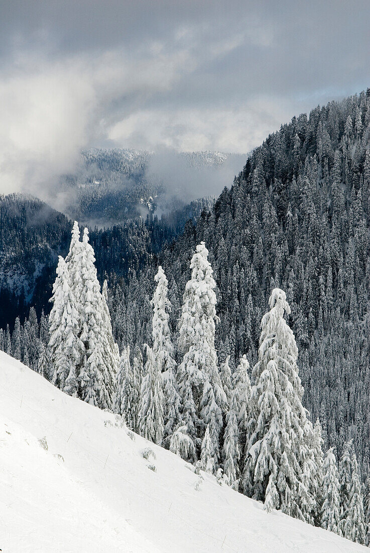 North Shore Mountains, Vancouver, Bc