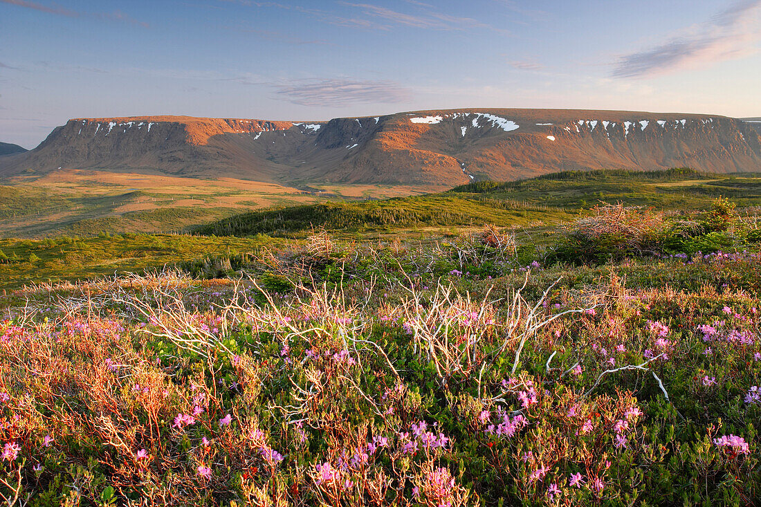 View Of Flowers And Tablelands From Lookout Trail At Sunset, Gros Morne Np, Newfoundland, Canada