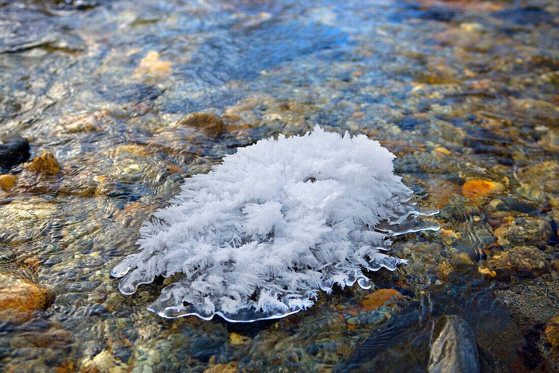Ice Crystal, Courmayeur, Italy