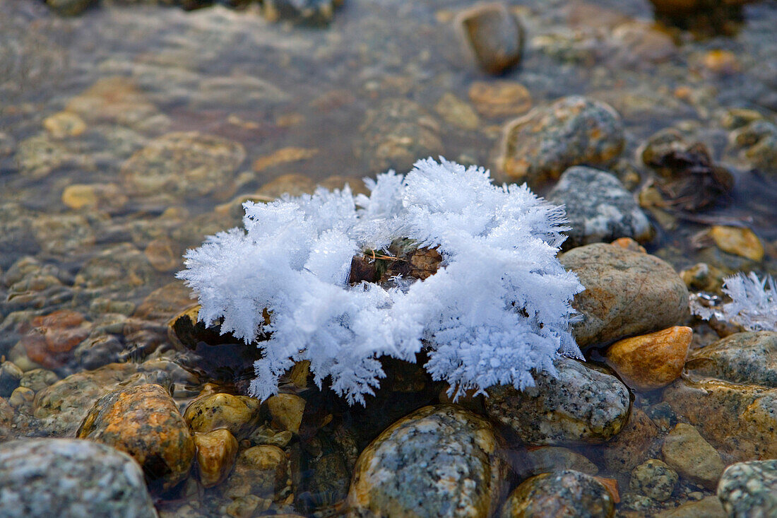 Ice And Snow In The River, Courmayeur, Italy