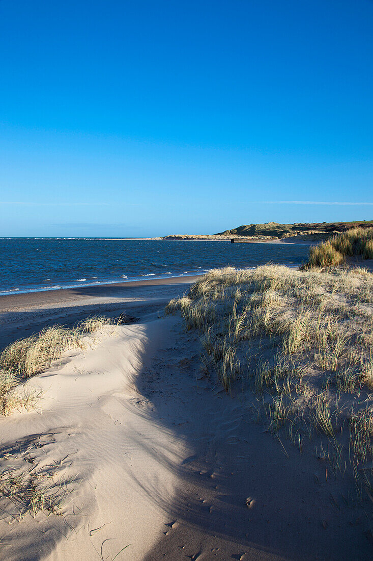 'View Of The Coastline At Budle Bay; Northumberland, England'