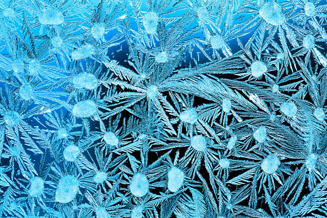 'Close Up Of Frost Crystals With Cyan Lighting; Calgary, Alberta, Canada'