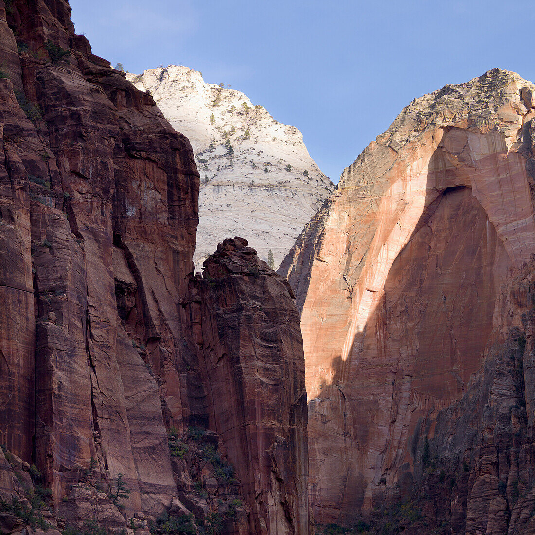 'Sandstone Cliffs In Zion National Park; Utah, United States of America'